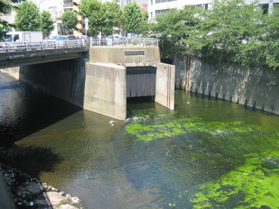 高戸橋での神田川風景